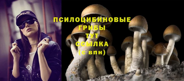 твердый Аркадак