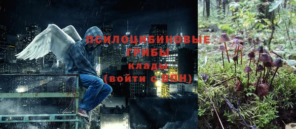 соль ск Арсеньев