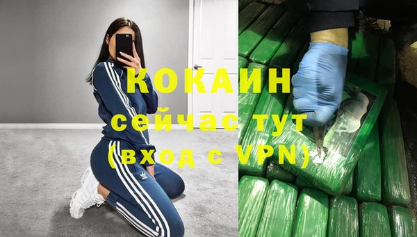 твердый Аркадак