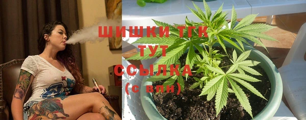 твердый Аркадак