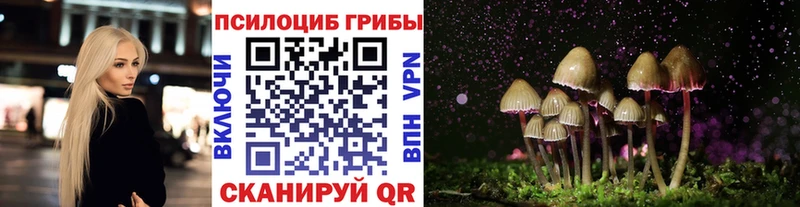 Псилоцибиновые грибы Magic Shrooms  Купить  Куса 